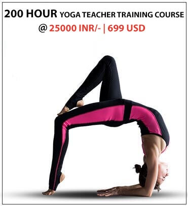 200 Hour Yoga teacher training in Rishikesh