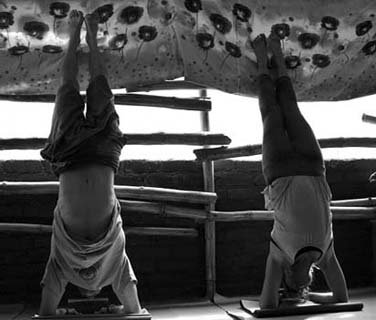 500 hour yoga teacher training in dharamsala