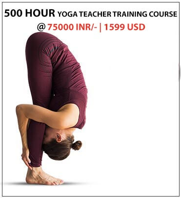 300 hour yoga