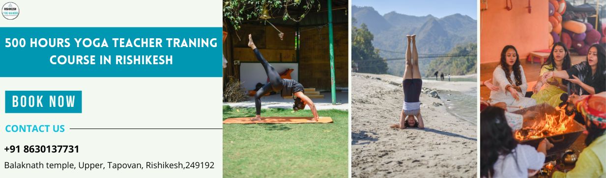 500 hour yoga teacher training in rishikesh