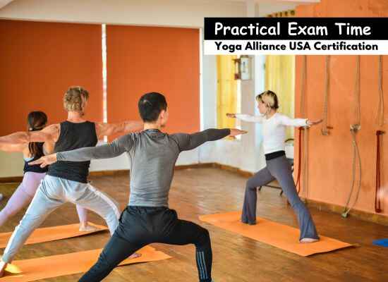 multi-style yoga course in rishikesh
