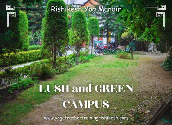 yoga center in rishikesh