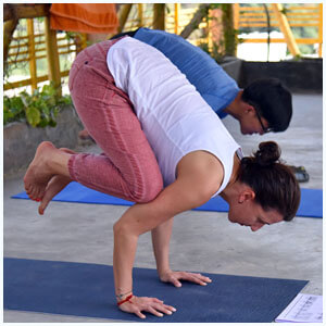 yoga training in rishikesh